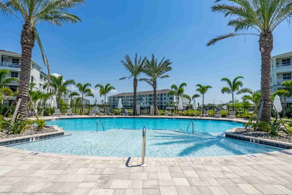 swimming pool surrounded sun loungers and palm trees