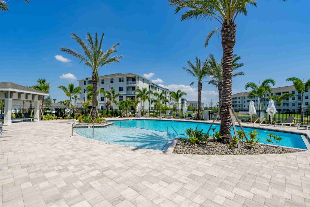swimming pool surrounded sun loungers and palm trees